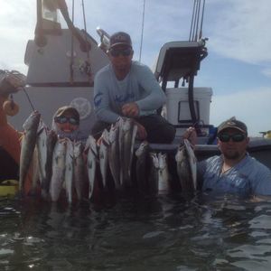 Meet your Posher, Johnathan